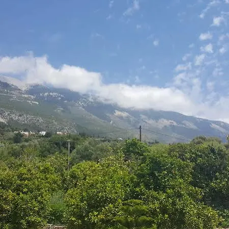 Stefanos * Свороната